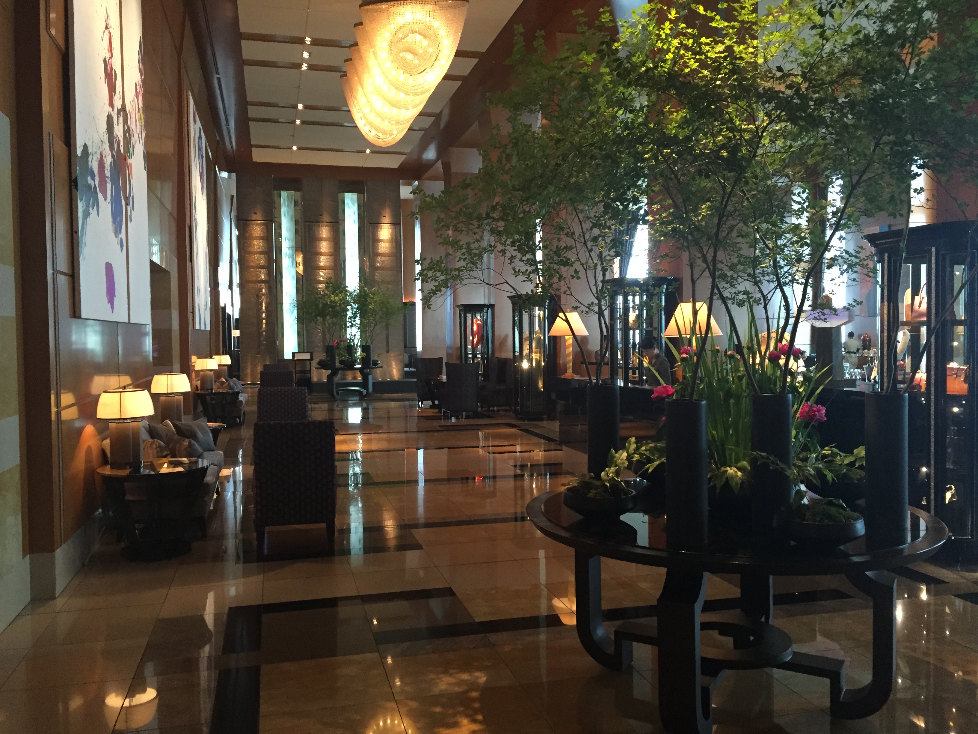 a large hall with a tree and chairs