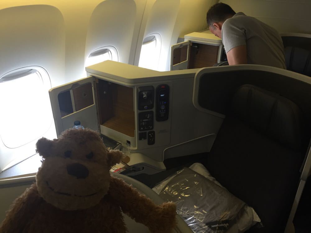 a stuffed animal in an airplane