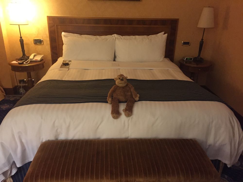 All Photos - 11 of 46