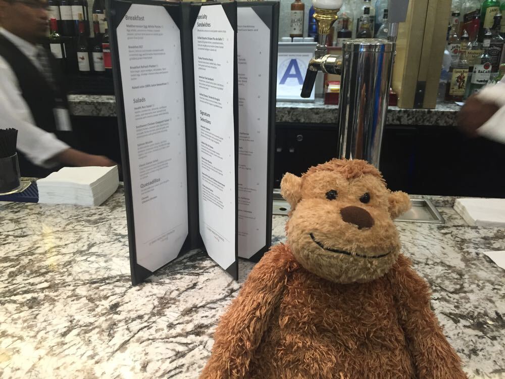 American Airlines Admiral's Club Terminal 8 JFK - 24 of 24