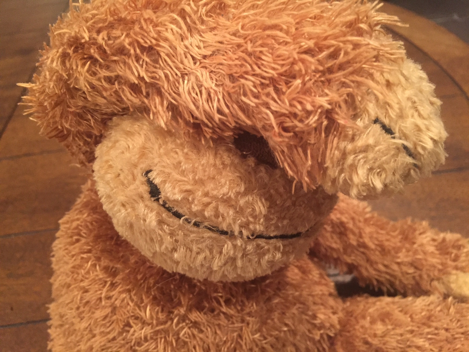 a close up of a stuffed animal