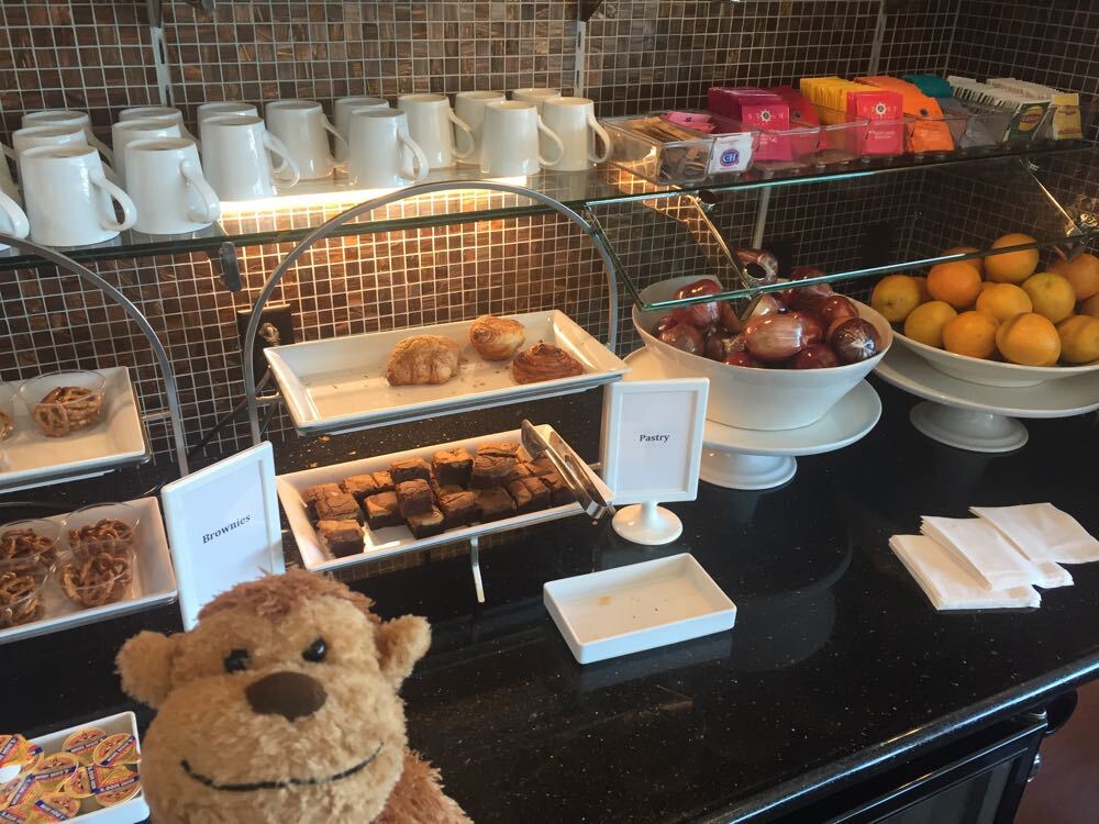 KLM Air France Business Class Lounge San Francisco SFO - 11 of 14