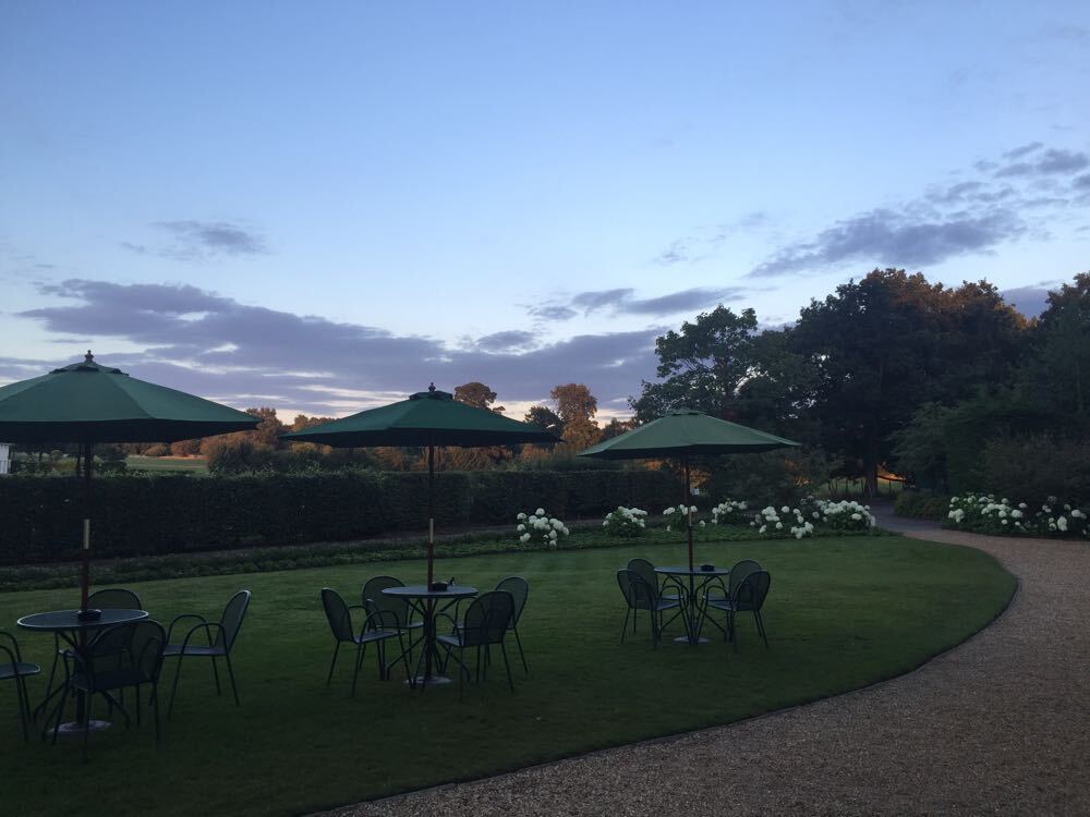 a group of chairs and umbrellas in a lawn