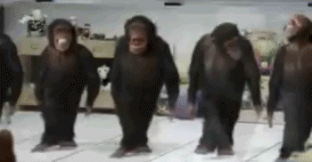 courtesy of giphy.com