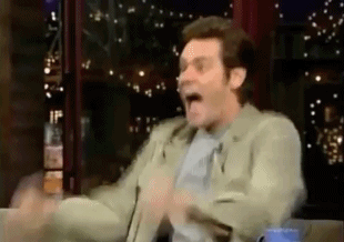 courtesy of giphy.com