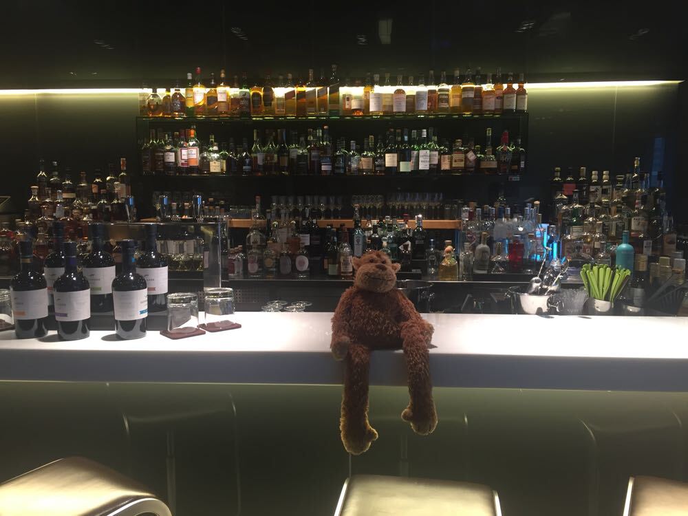 lufthansa-first-class-lounge-frankfurt-terminal-1-14-of-75