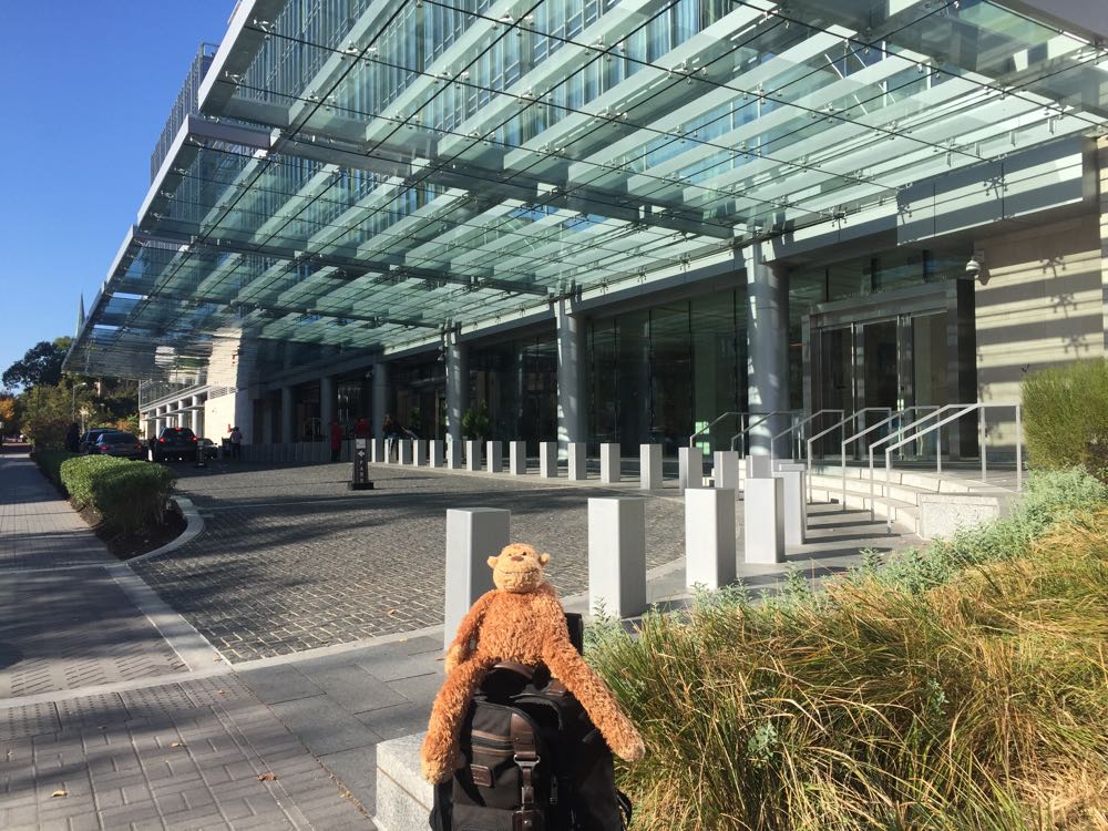 a stuffed animal sitting on a luggage bag outside of a building