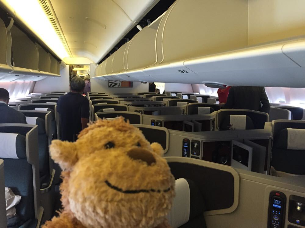 a stuffed animal in a plane