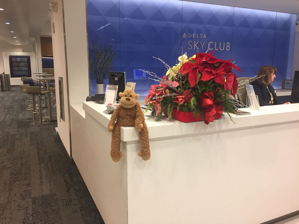 a stuffed animal on a counter