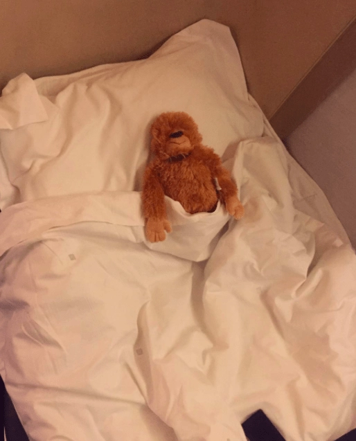 British Airways First Class vs Business Class ( Club World ) British Airways First Class vs Business Class ( Club World )