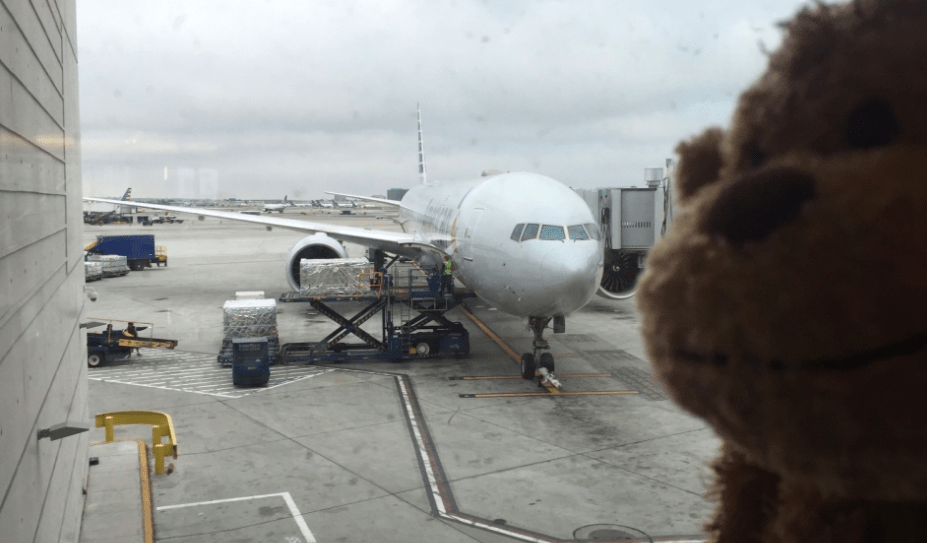 a plane on the tarmac