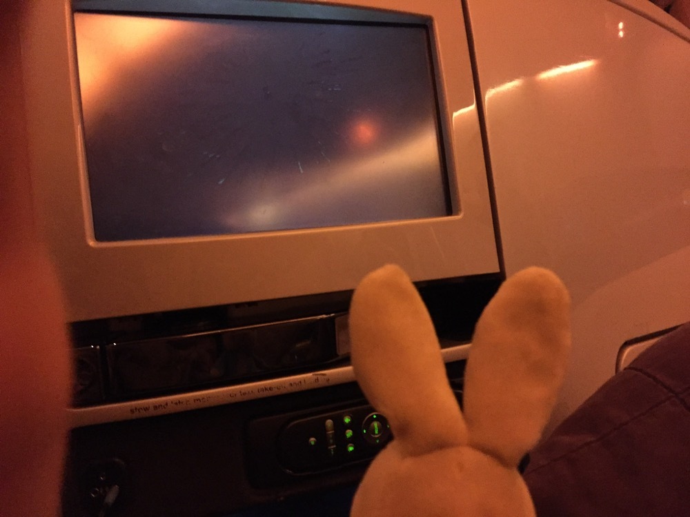 Air New Zealand Business Class LHR-LAX - 13 of 14