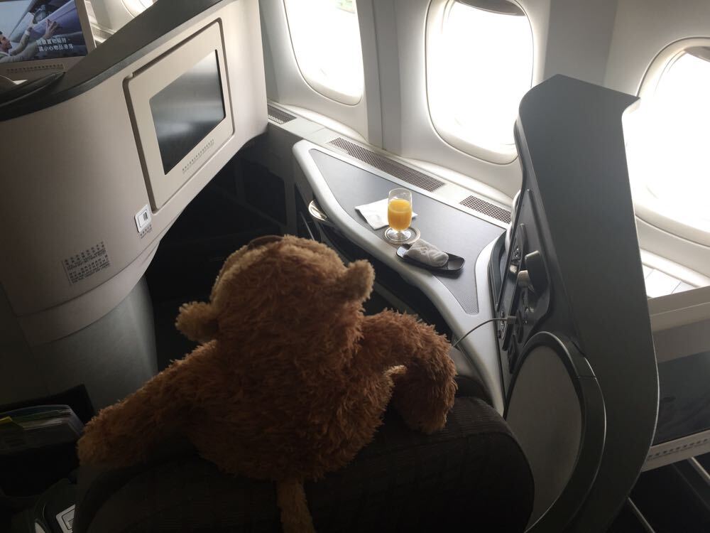 EVA Royal Laurel Business Class 777-300ER TPE-SGN - 20 of 94