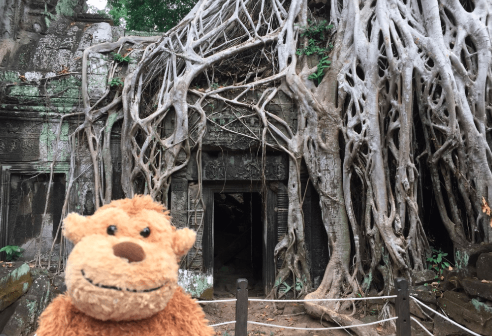 a stuffed animal standing in front of a building with roots