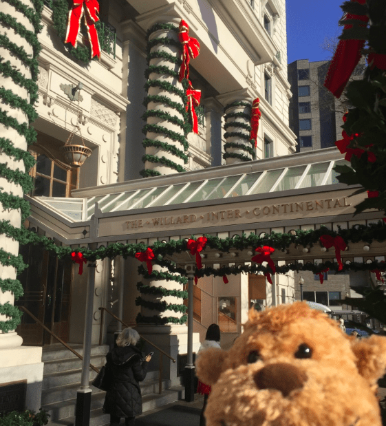 a stuffed animal outside of a building
