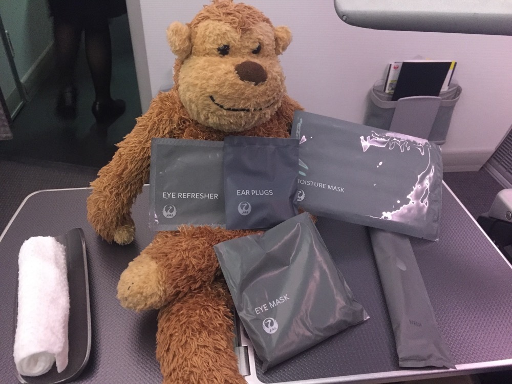 Japan Airlines Business Class 787-8 BKK-NRT - 11 of 40