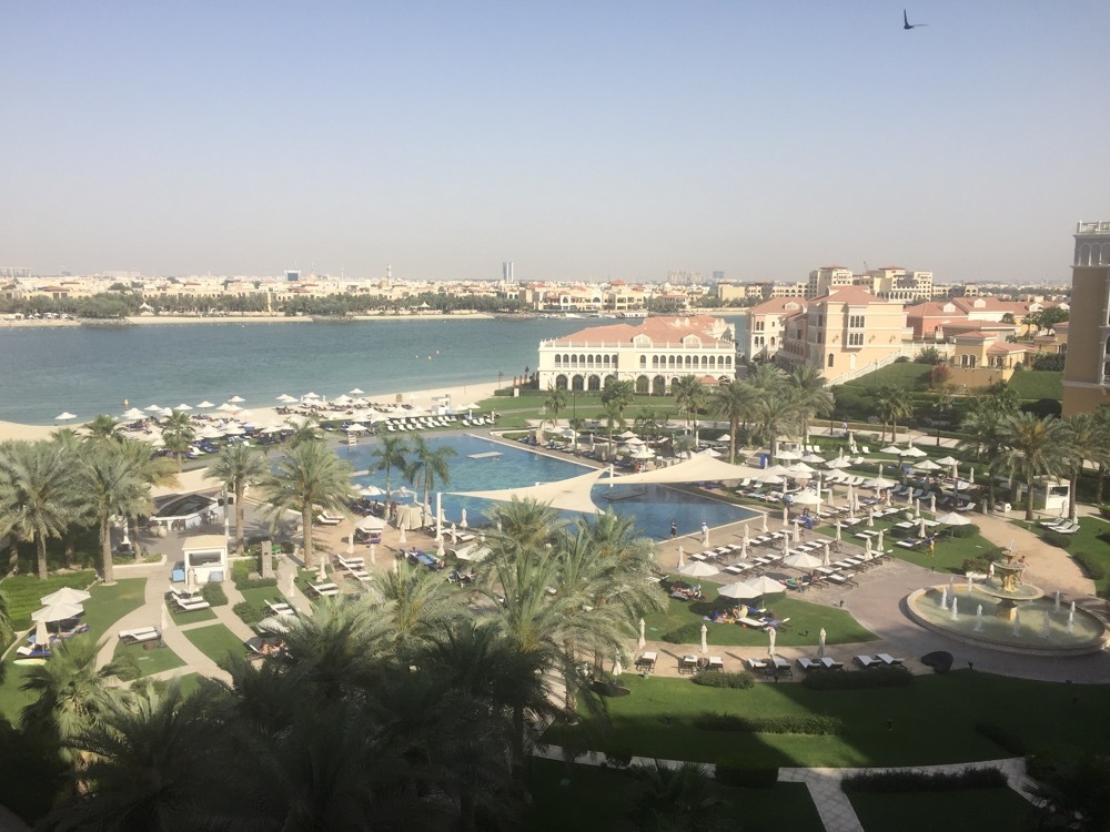 a pool and a body of water with buildings and trees