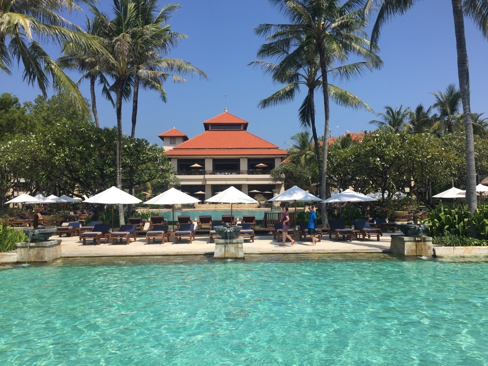 a pool with umbrellas and chairs and palm trees