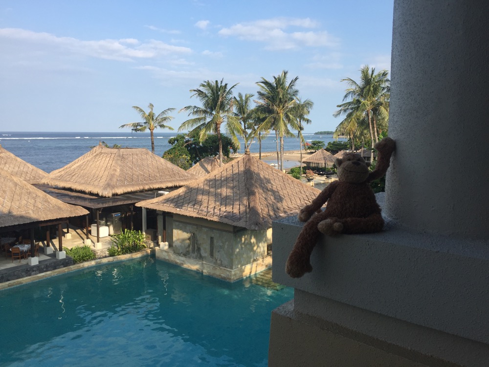 a stuffed animal on a ledge near a pool
