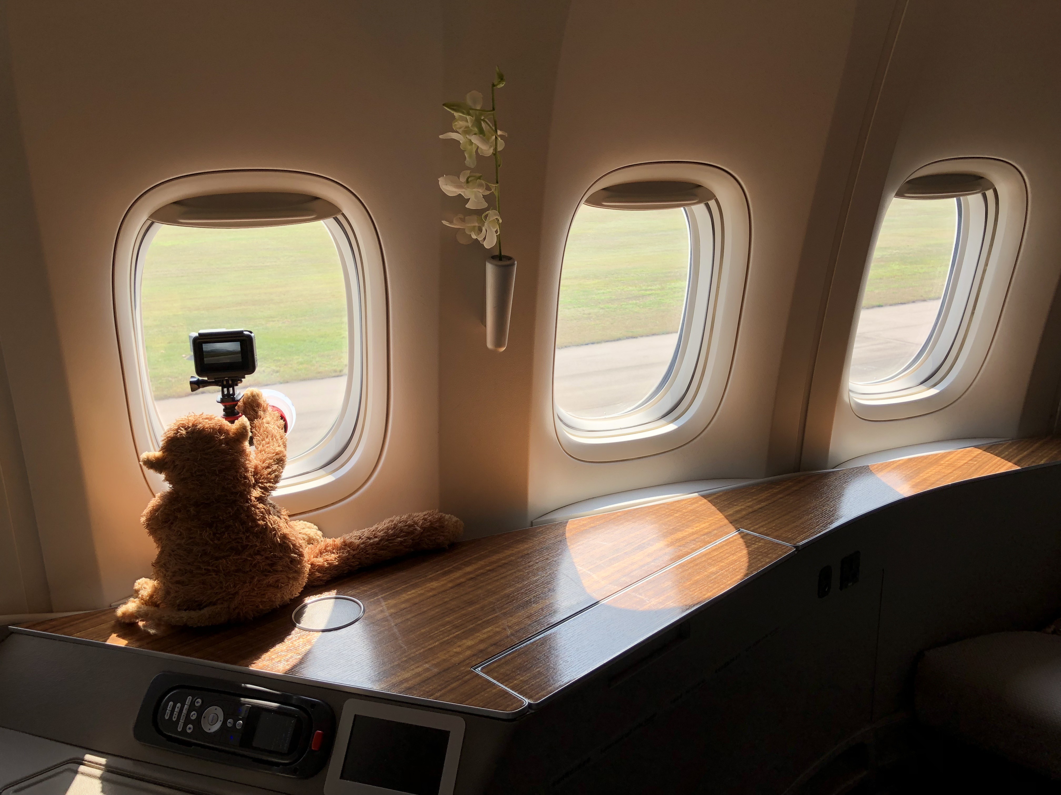 a stuffed animal on a table with windows
