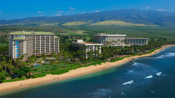 a beach with buildings and trees
