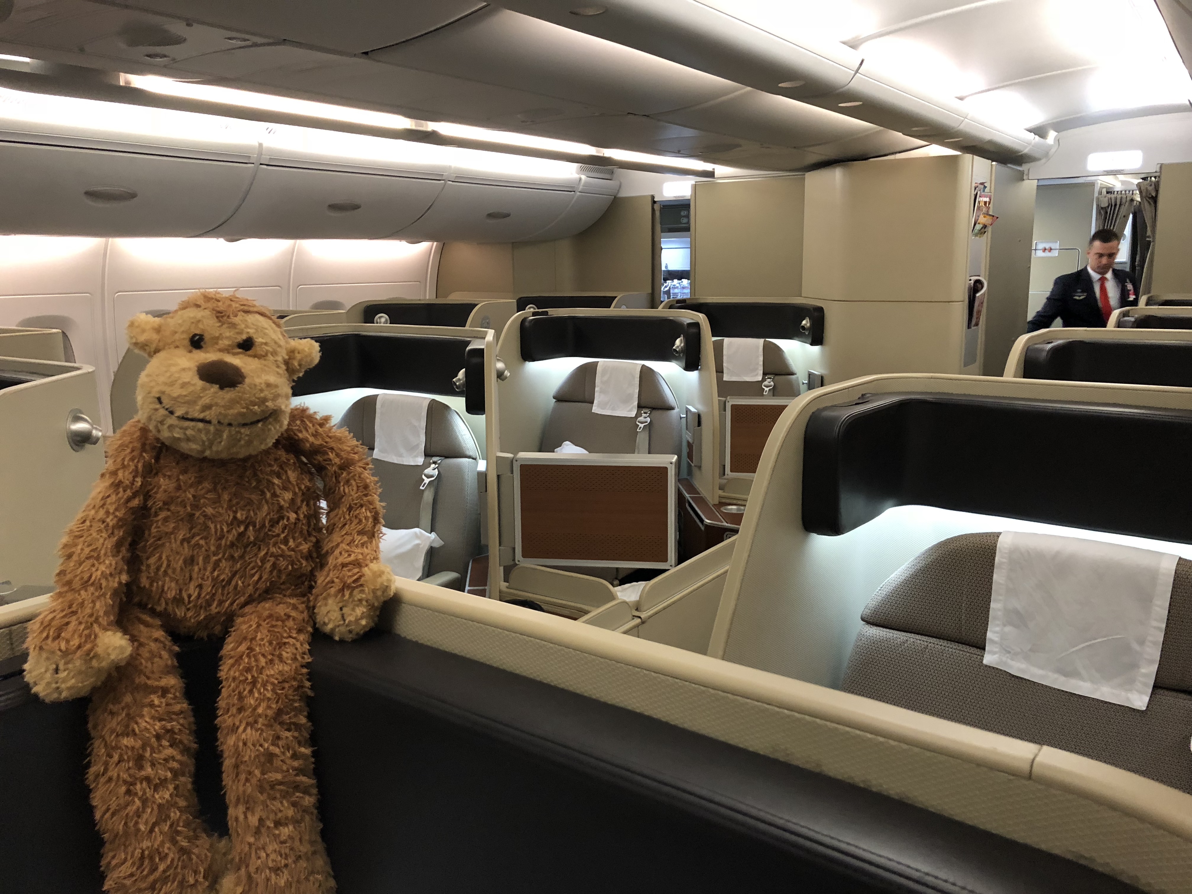 a stuffed animal on a plane