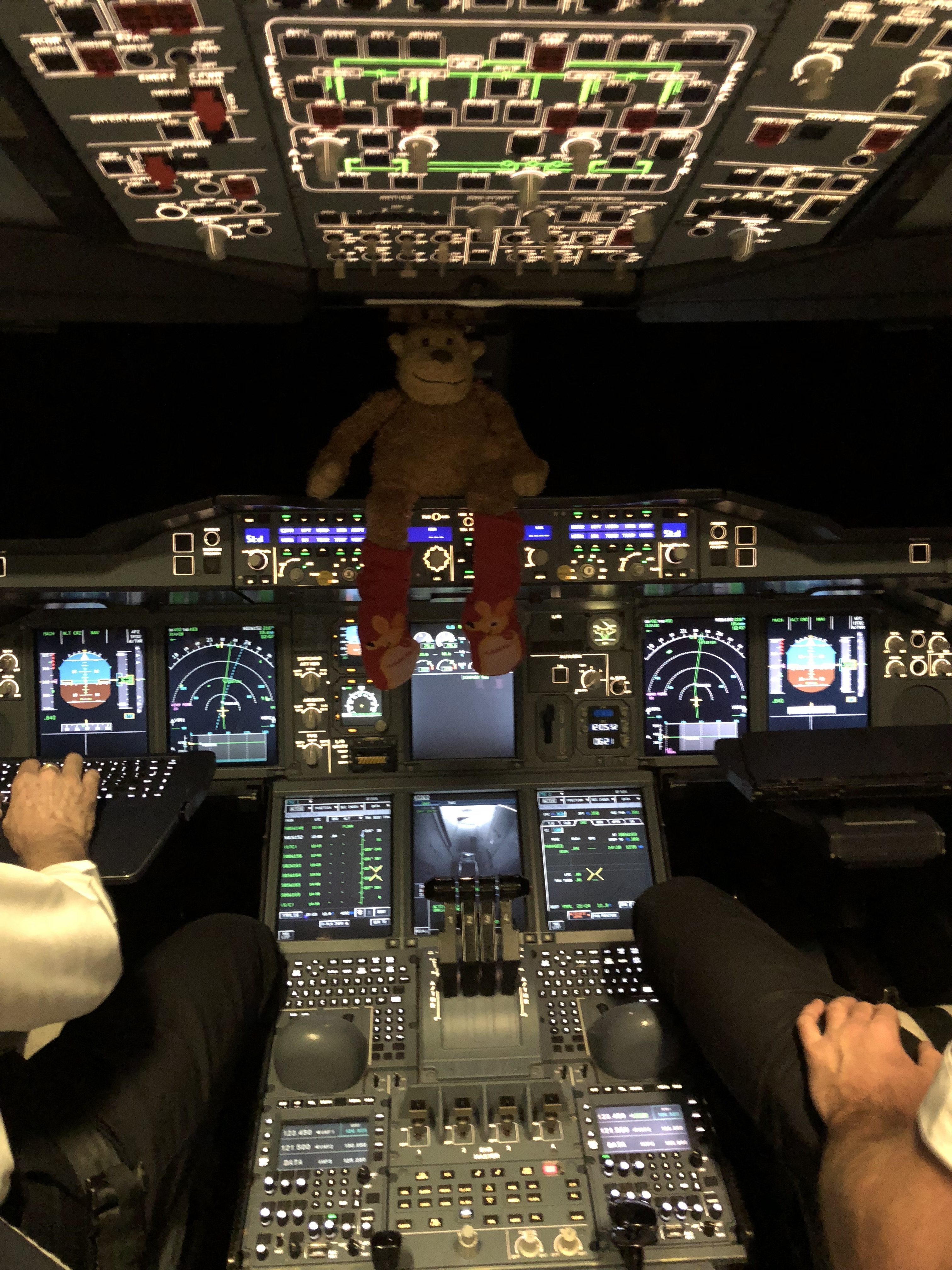 a stuffed animal in the cockpit of an airplane