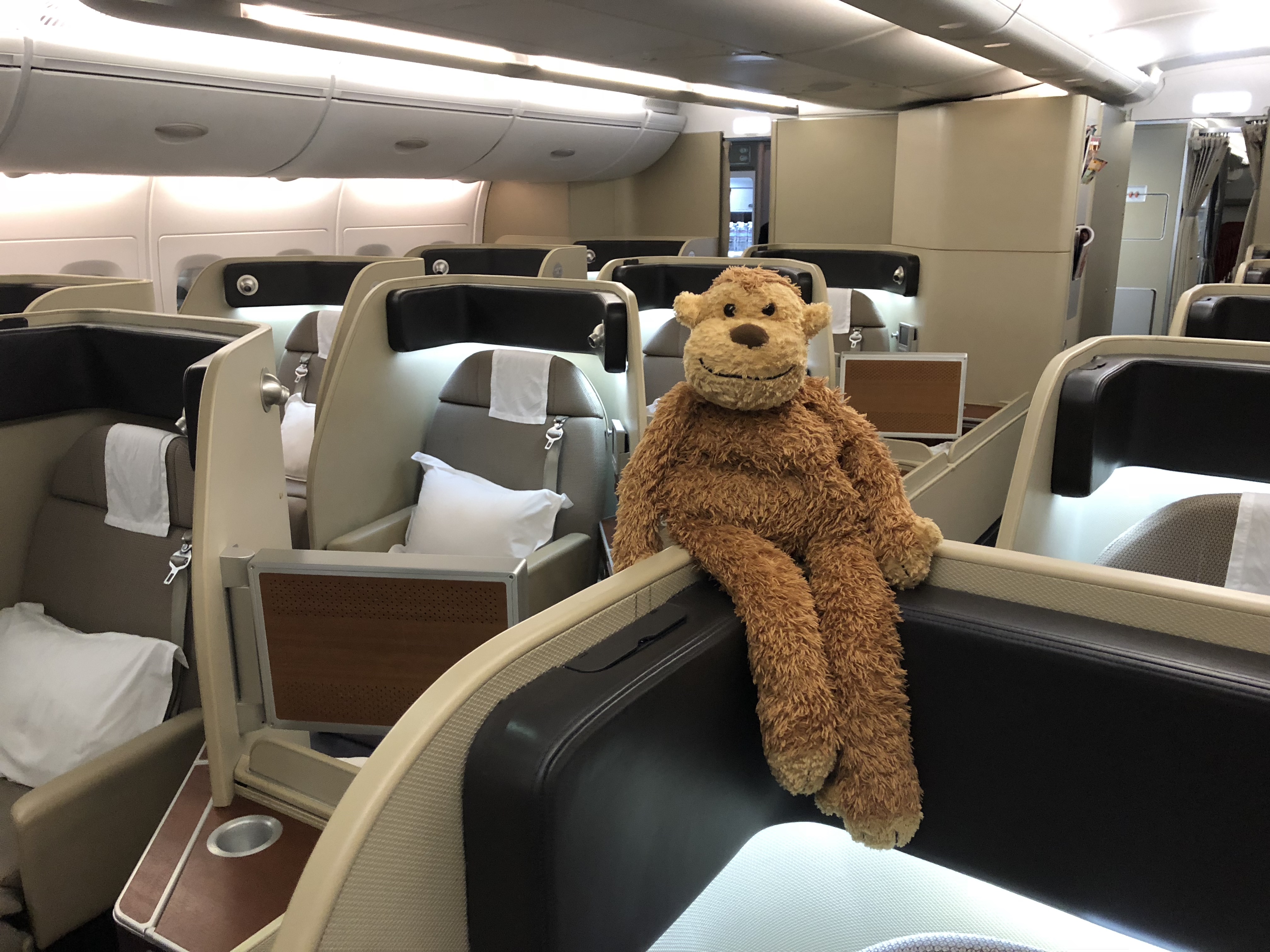 a stuffed animal on a seat