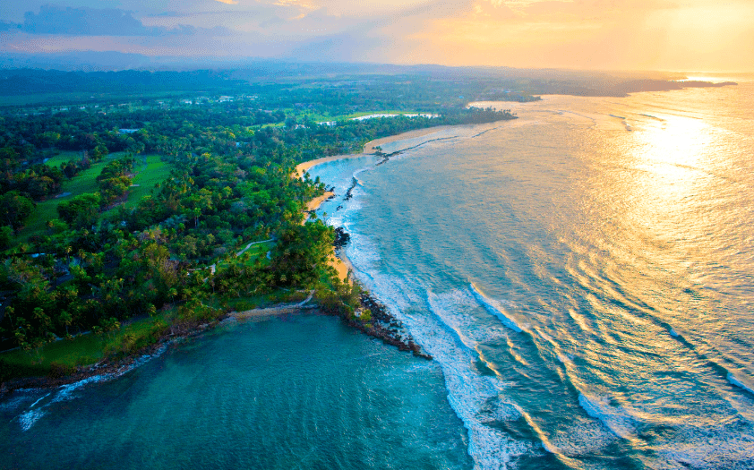 an aerial view of a beach with trees and water