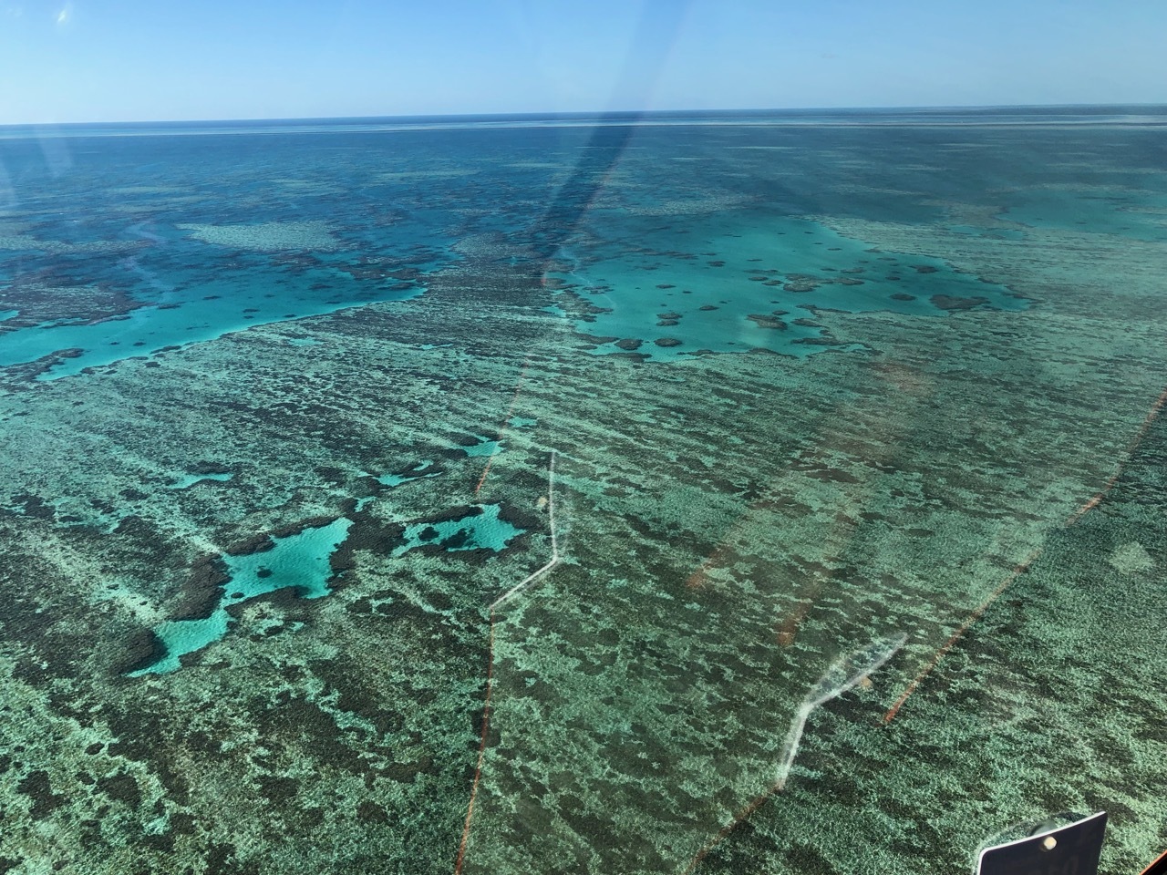 an aerial view of a coral reef
