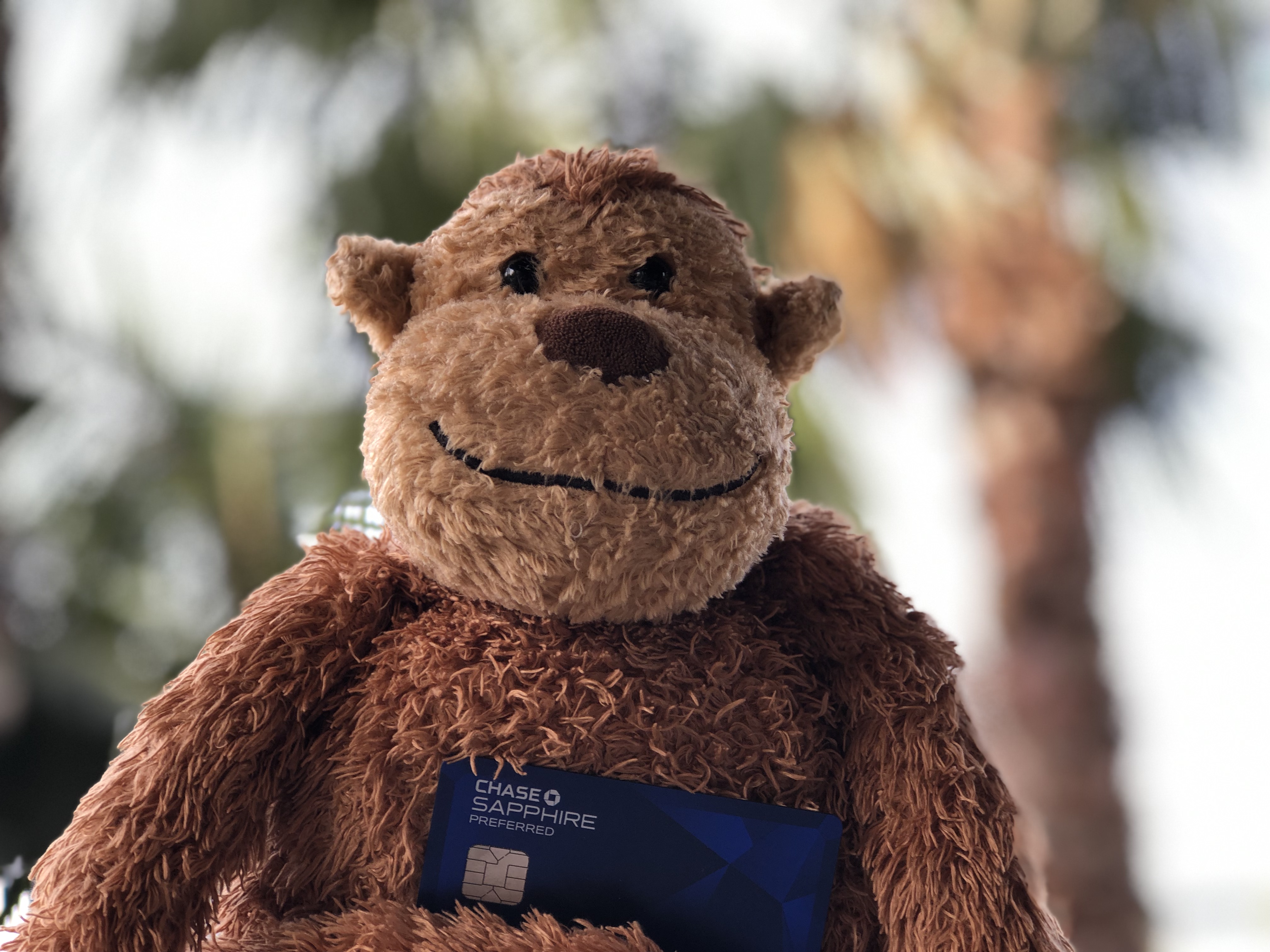 a stuffed animal holding a blue book
