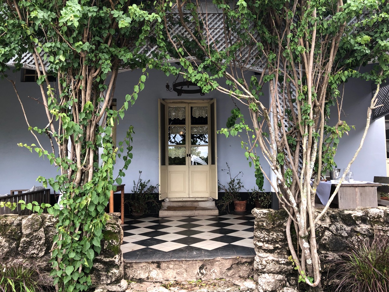 a house with trees around it
