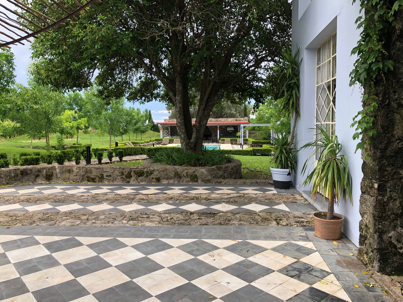 a building with a checkered floor and a tree