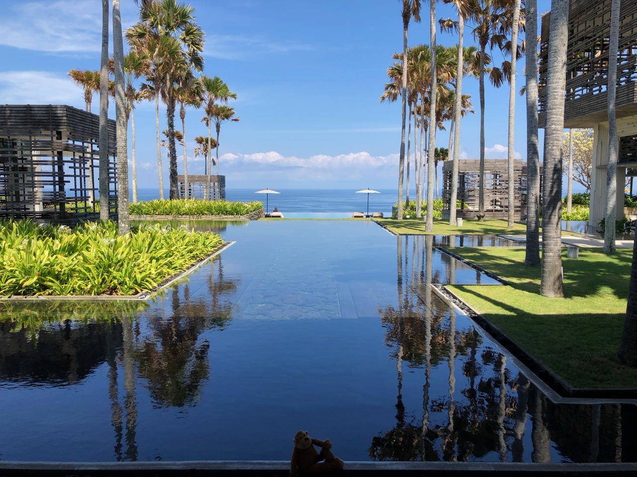 a pool with palm trees and a blue sky