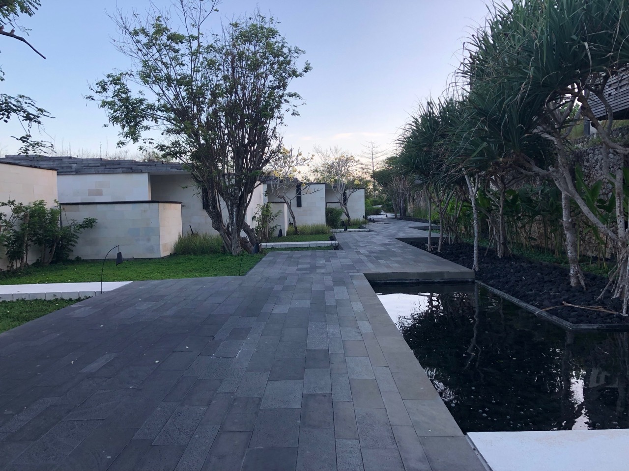 a walkway with trees and a pond