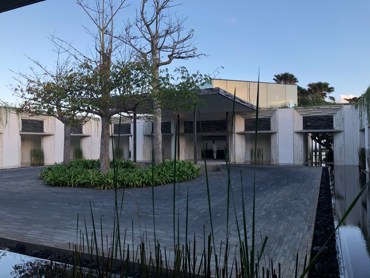 a building with trees and plants