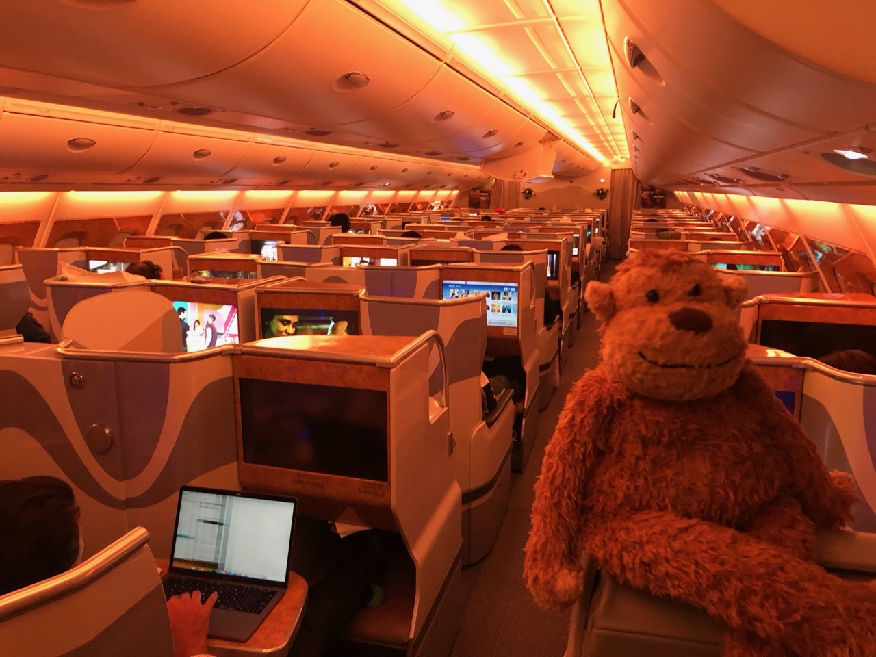 a stuffed animal on an airplane