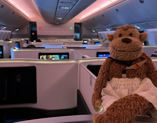 a stuffed animal in an airplane