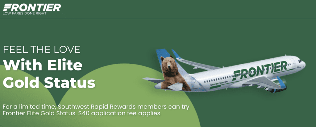 a plane with a bear on the tail