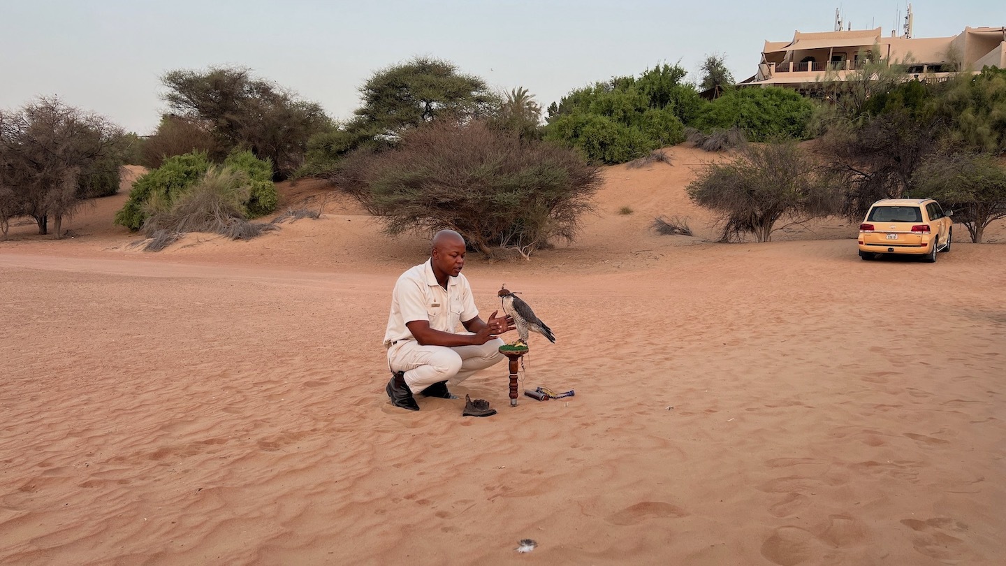 a man kneeling in the sand with a bird on it