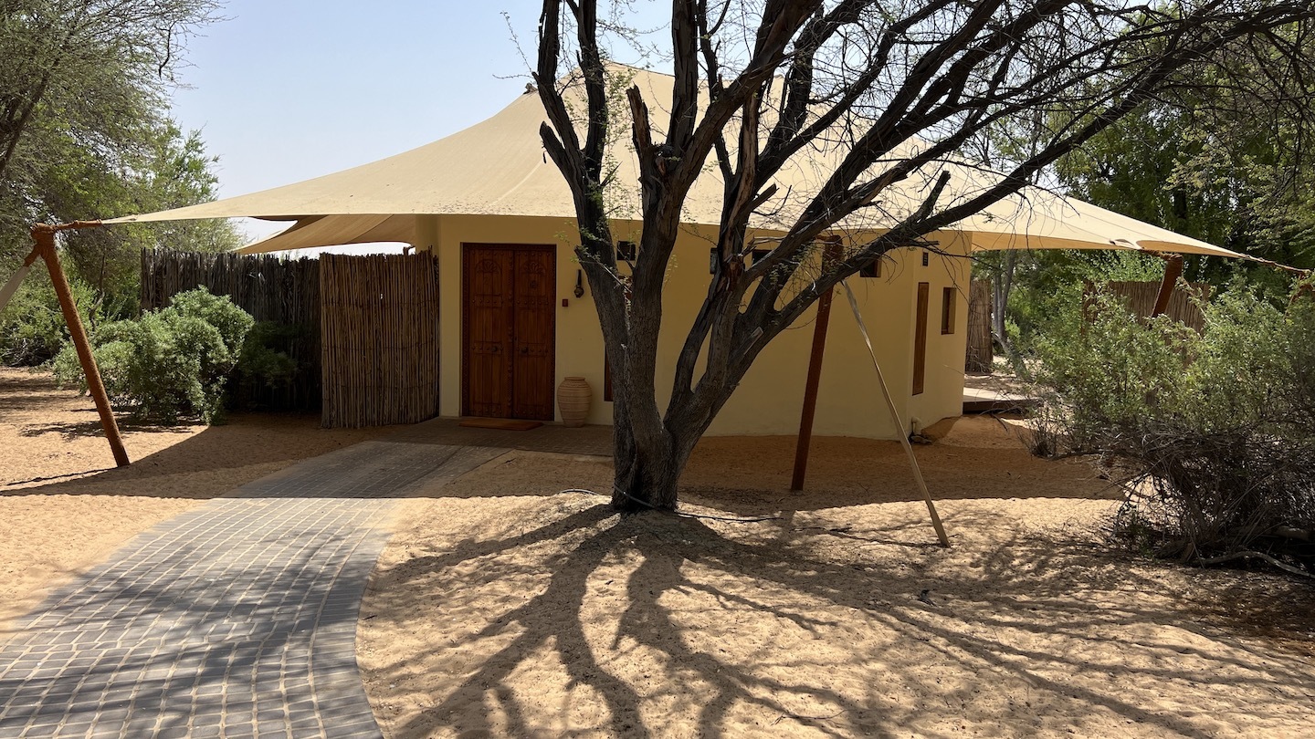 a tree in front of a house