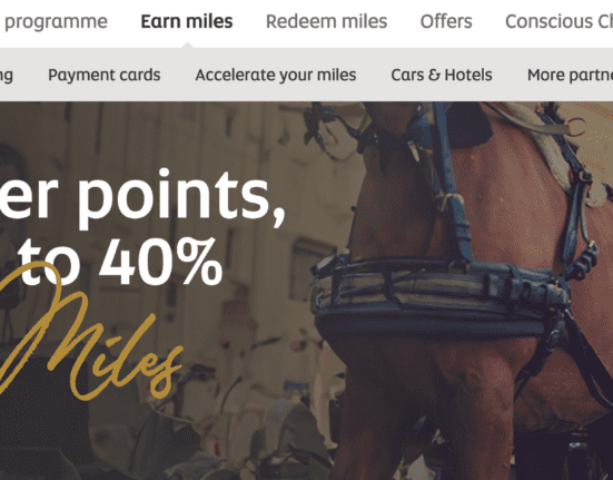 a horse with a saddle on it