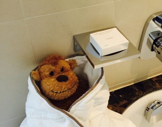 a stuffed animal in a towel
