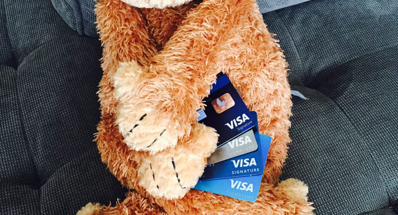 a stuffed animal with a credit card