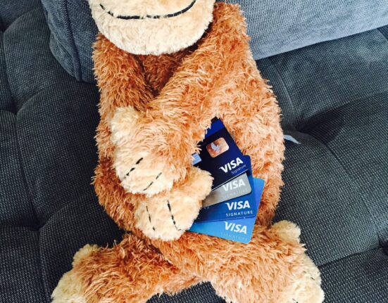 a stuffed animal with a credit card