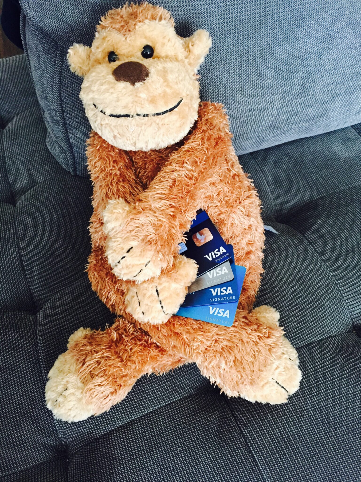 a stuffed animal with a credit card