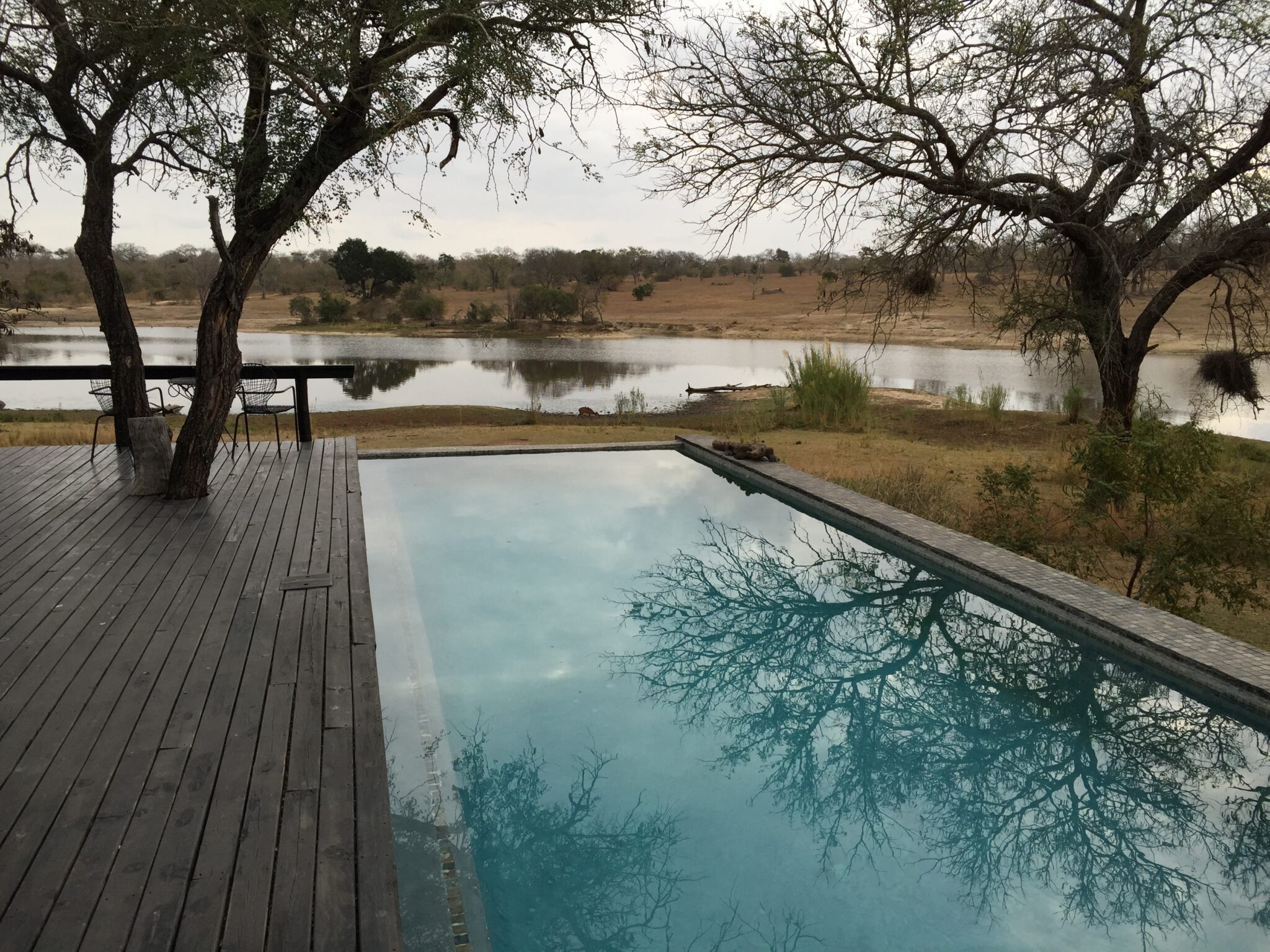 a pool with trees and a lake