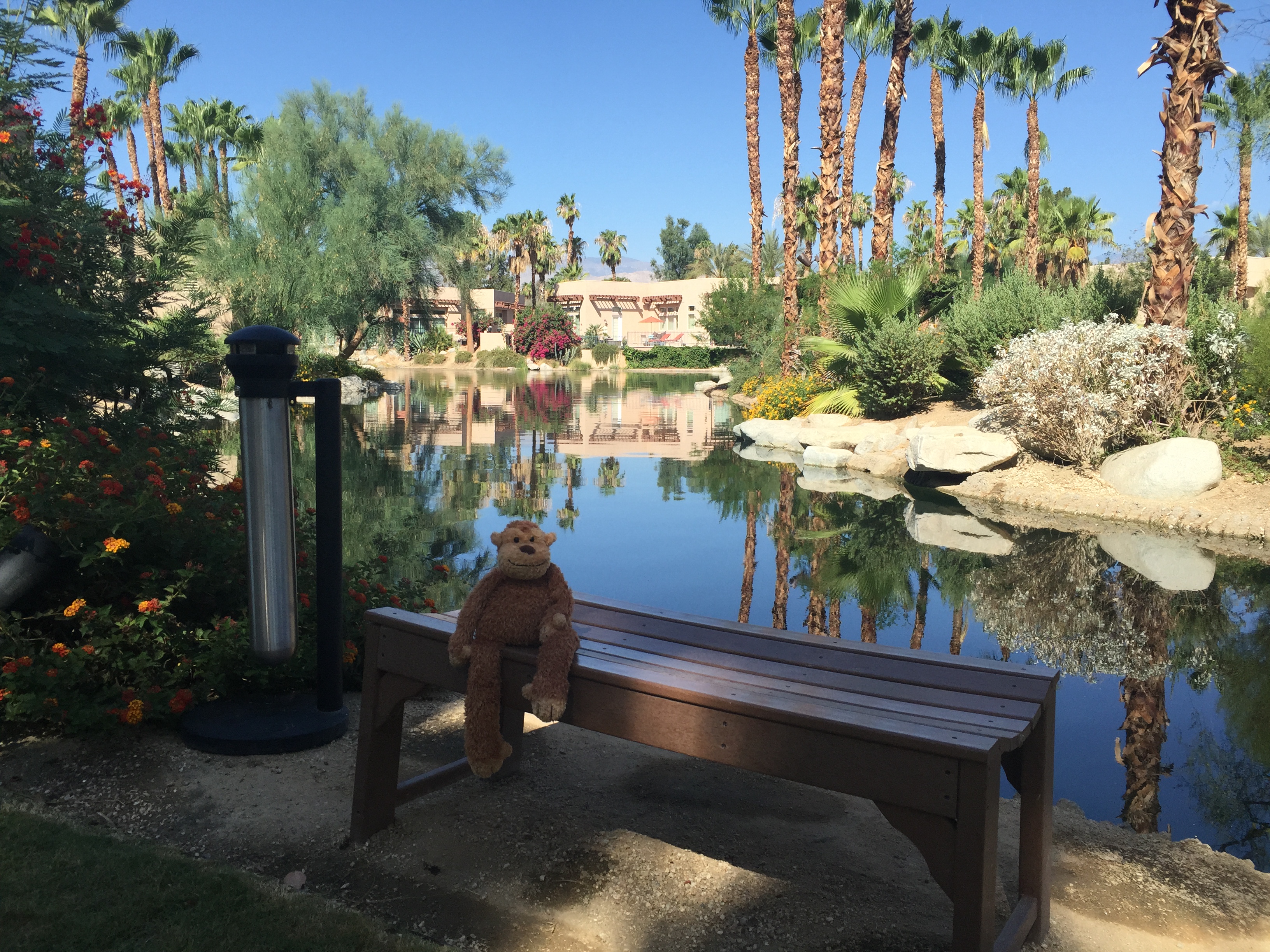 a teddy bear on a bench by a pond