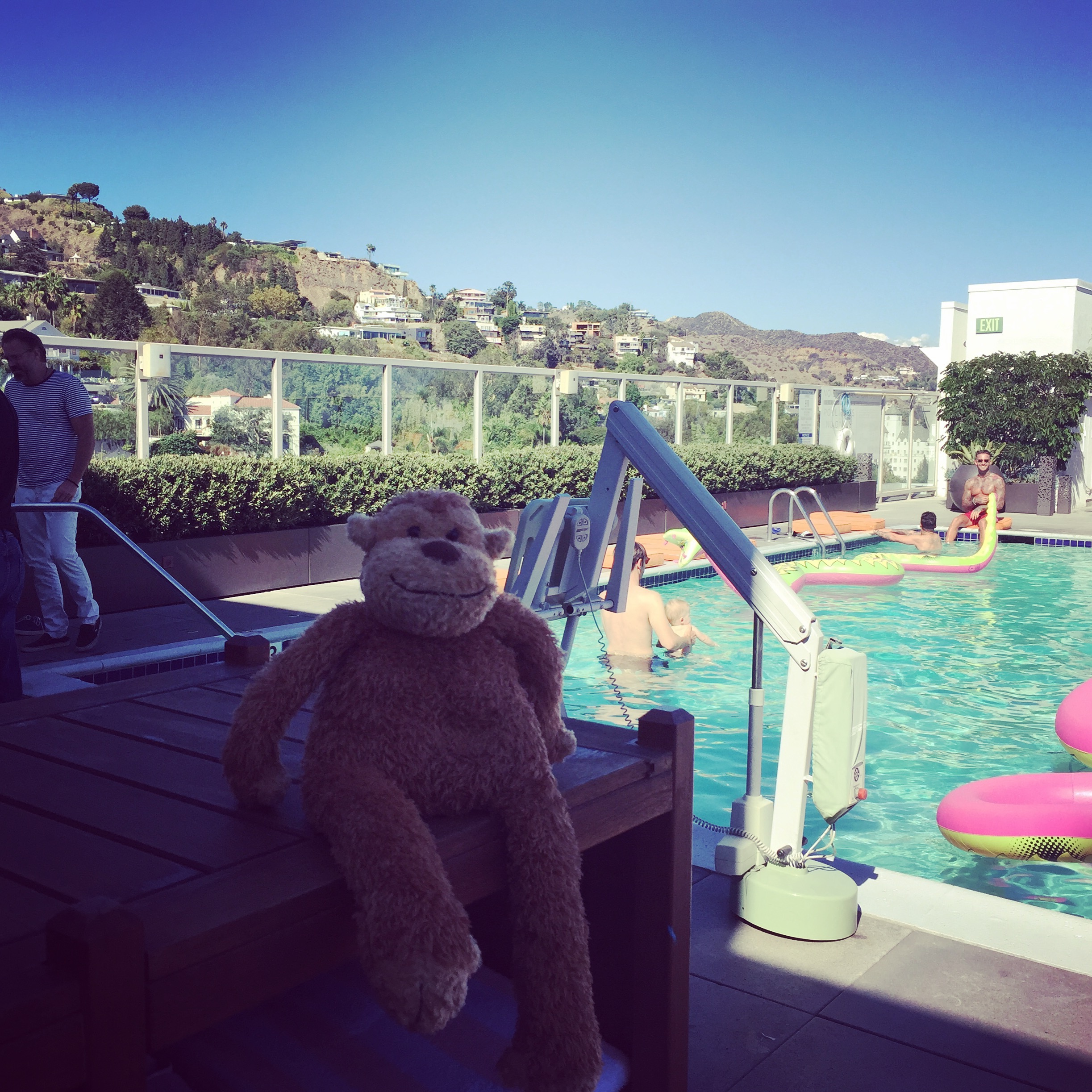 a teddy bear sitting on a table by a pool