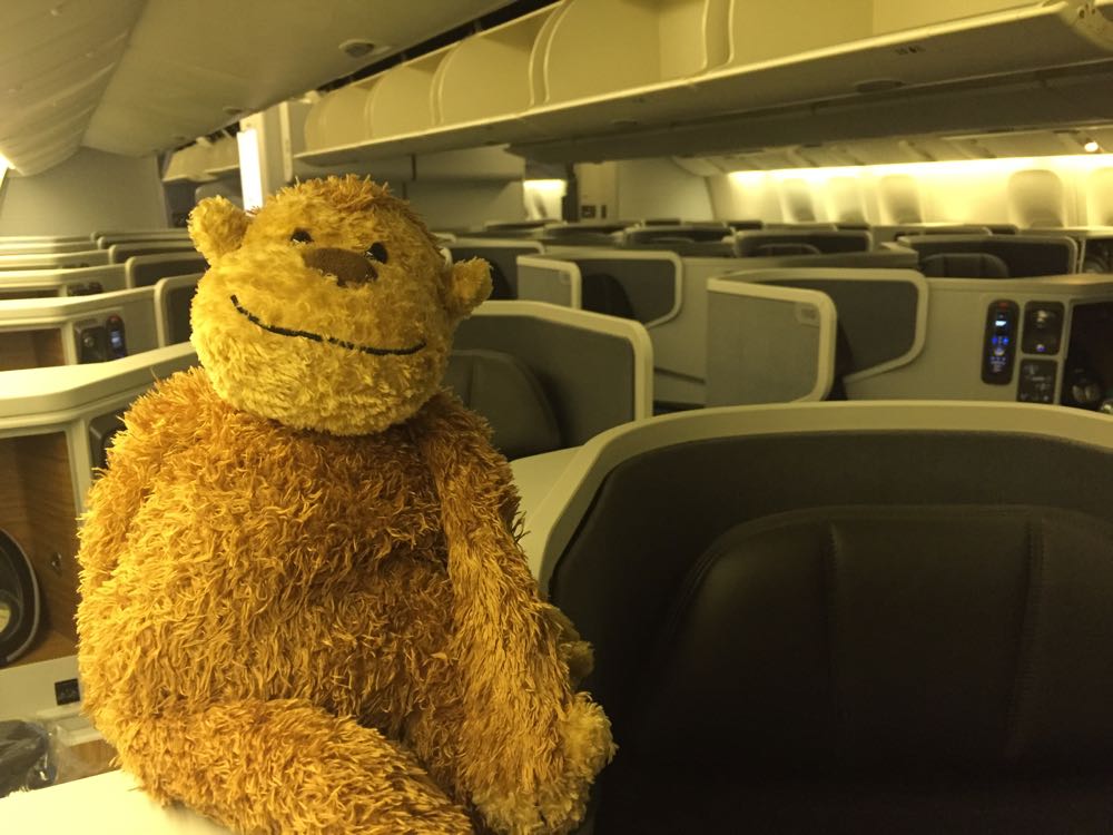 a stuffed animal on an airplane